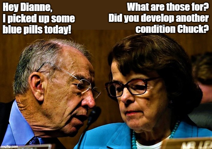 senators Chuck Grassley & Dianne Feinstein | Hey Dianne, I picked up some
blue pills today! What are those for?
Did you develop another
condition Chuck? | image tagged in political humor,senators,senate,chuck grassley,dianne feinstein,blue pill | made w/ Imgflip meme maker