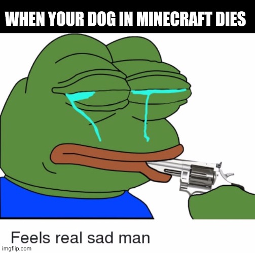 WHEN YOUR DOG IN MINECRAFT DIES | image tagged in minecraft,video games | made w/ Imgflip meme maker