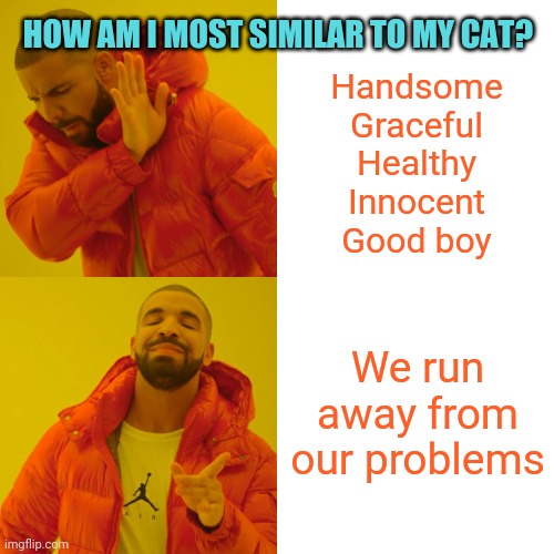 He's much faster at it though | HOW AM I MOST SIMILAR TO MY CAT? Handsome
Graceful
Healthy
Innocent
Good boy; We run away from our problems | image tagged in memes,drake hotline bling,problems,cats,comparison | made w/ Imgflip meme maker