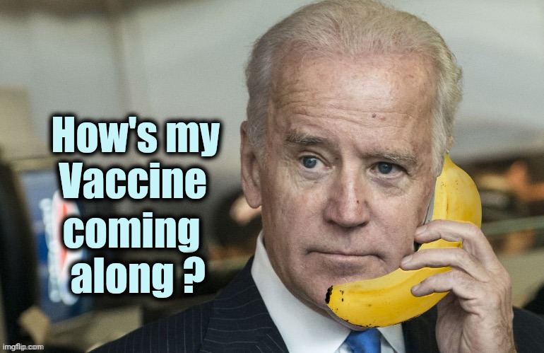 Making a list , checking it twice | How's my
     Vaccine; coming
       along ? | image tagged in joe banana,president elect,im peach 46,president harris | made w/ Imgflip meme maker