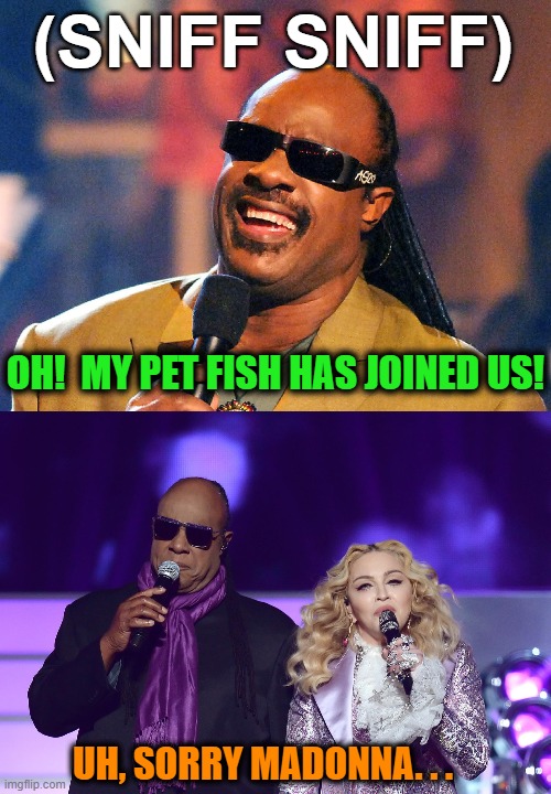 (SNIFF SNIFF) OH!  MY PET FISH HAS JOINED US! UH, SORRY MADONNA. . . | made w/ Imgflip meme maker