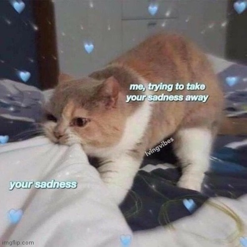 The only sort of wholesome thing I'll post today probably | made w/ Imgflip meme maker