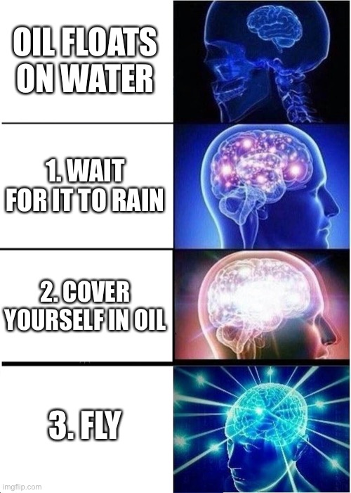 Cover yourself in oil | OIL FLOATS ON WATER; 1. WAIT FOR IT TO RAIN; 2. COVER YOURSELF IN OIL; 3. FLY | image tagged in memes,expanding brain,trolled,troll,epic | made w/ Imgflip meme maker