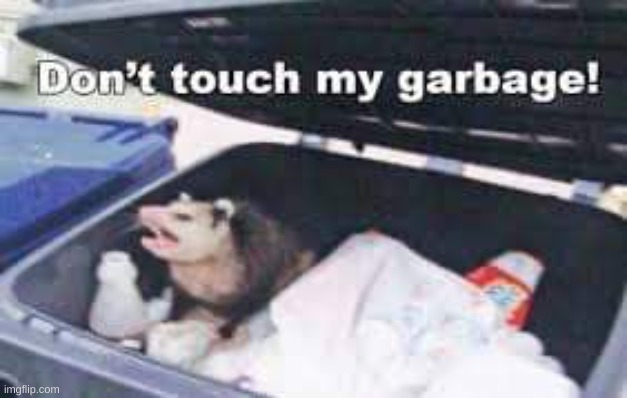 Dumpster Possum | image tagged in dumpster possum | made w/ Imgflip meme maker