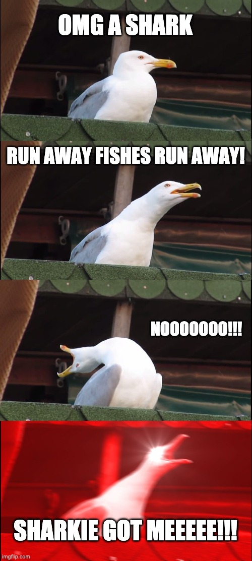 Run Fishes | OMG A SHARK; RUN AWAY FISHES RUN AWAY! NOOOOOOO!!! SHARKIE GOT MEEEEE!!! | image tagged in memes,inhaling seagull | made w/ Imgflip meme maker