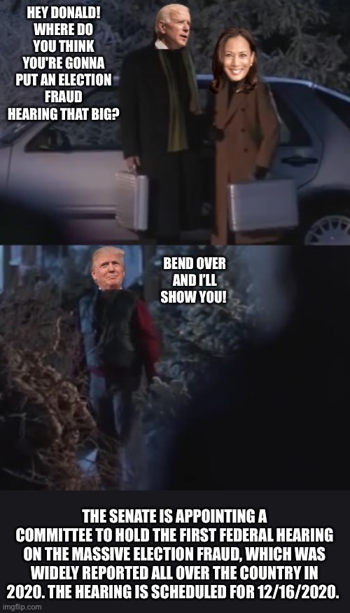 Senate Hearing | HEY DONALD!
WHERE DO YOU THINK YOU'RE GONNA PUT AN ELECTION FRAUD HEARING THAT BIG? BEND OVER AND I’LL SHOW YOU! THE SENATE IS APPOINTING A COMMITTEE TO HOLD THE FIRST FEDERAL HEARING ON THE MASSIVE ELECTION FRAUD, WHICH WAS WIDELY REPORTED ALL OVER THE COUNTRY IN 2020. THE HEARING IS SCHEDULED FOR 12/16/2020. | image tagged in election fraud | made w/ Imgflip meme maker