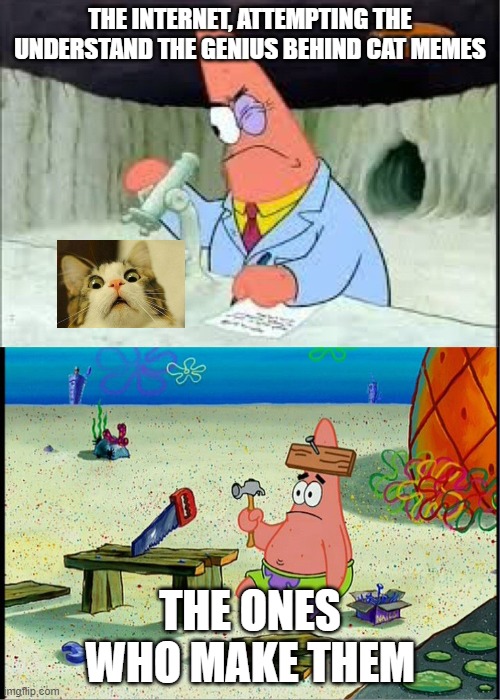 Patrick scientists vs nail-board | THE INTERNET, ATTEMPTING THE UNDERSTAND THE GENIUS BEHIND CAT MEMES; THE ONES WHO MAKE THEM | image tagged in patrick scientists vs nail-board,cats | made w/ Imgflip meme maker