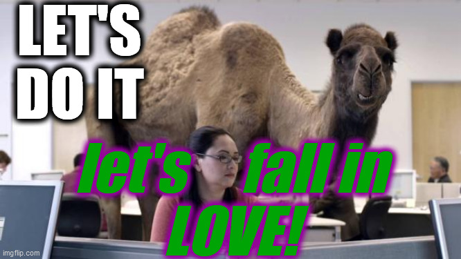 Hump Day Camel | LET'S
DO IT let's     fall in
LOVE! | image tagged in hump day camel | made w/ Imgflip meme maker