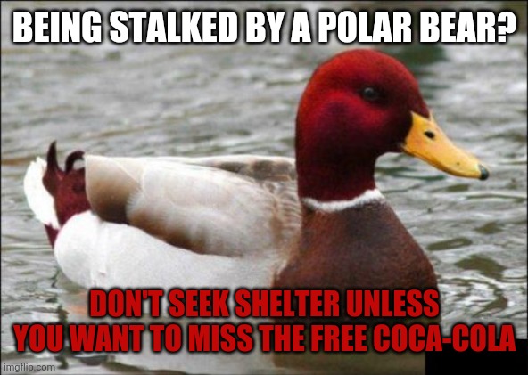 Nothing better than straight from the bear | BEING STALKED BY A POLAR BEAR? DON'T SEEK SHELTER UNLESS YOU WANT TO MISS THE FREE COCA-COLA | image tagged in memes,malicious advice mallard,coca cola,advertising,holidays | made w/ Imgflip meme maker