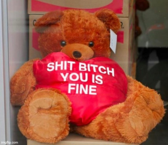 Everybody good. | image tagged in shit bitch you is fine | made w/ Imgflip meme maker