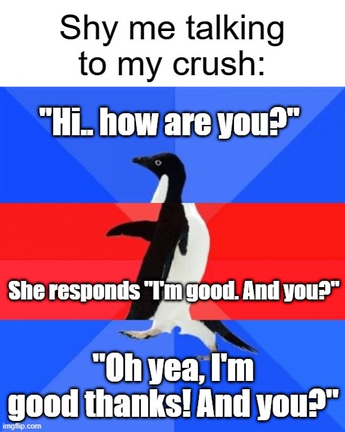 Me nervously talking to girls | Shy me talking to my crush:; "Hi.. how are you?"; She responds "I'm good. And you?"; "Oh yea, I'm good thanks! And you?" | image tagged in awkward awesome awkward penguin,memes | made w/ Imgflip meme maker