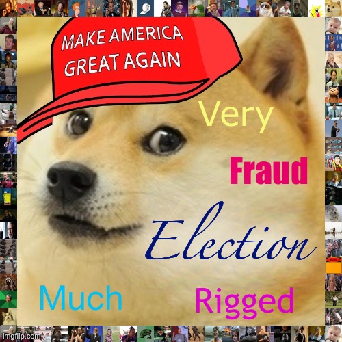 Right-wing social media rn be like | Very; Fraud; Election; Much; Rigged | image tagged in maga doge,rigged elections,election 2020,2020 elections,voter fraud,election fraud | made w/ Imgflip meme maker