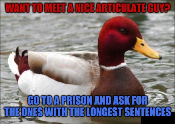 I am guilty of a pun and I'd do it again | WANT TO MEET A NICE ARTICULATE GUY? GO TO A PRISON AND ASK FOR THE ONES WITH THE LONGEST SENTENCES | image tagged in memes,malicious advice mallard,crime,prison,dating | made w/ Imgflip meme maker