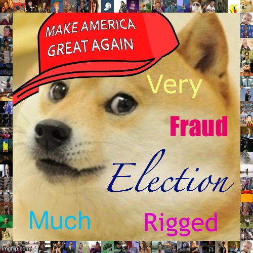 MAGA doge very fraud election Blank Meme Template