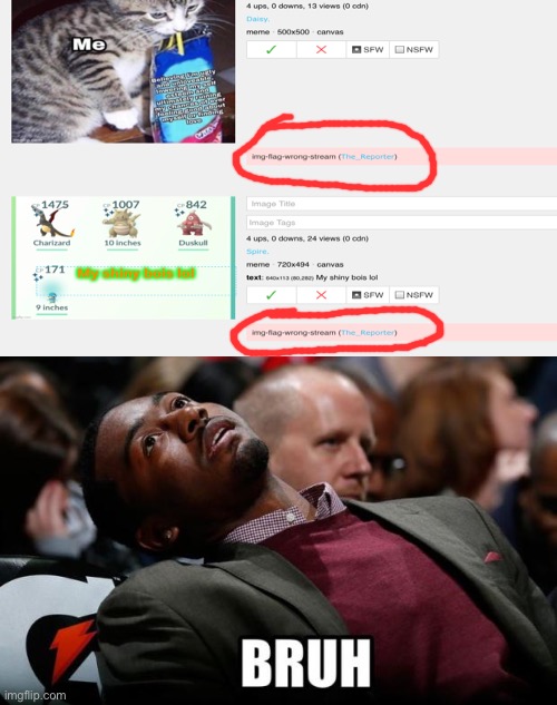 image tagged in bruh | made w/ Imgflip meme maker