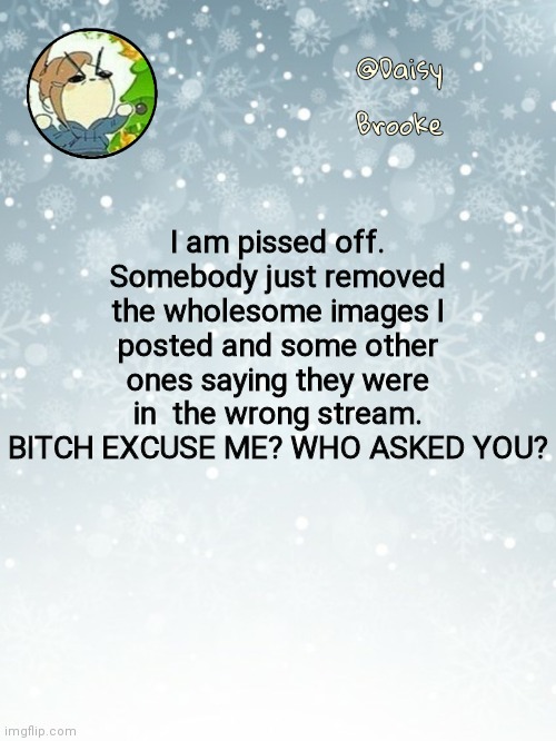 Daisy's Christmas template | I am pissed off. Somebody just removed the wholesome images I posted and some other ones saying they were in  the wrong stream. BITCH EXCUSE ME? WHO ASKED YOU? | image tagged in daisy's christmas template | made w/ Imgflip meme maker