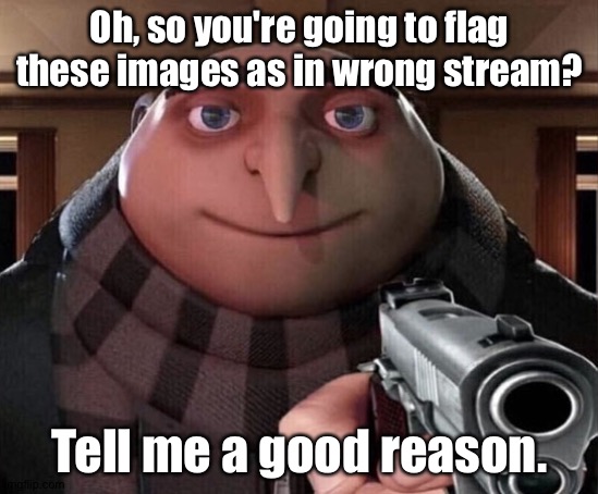 Gru Gun | Oh, so you're going to flag these images as in wrong stream? Tell me a good reason. | image tagged in gru gun | made w/ Imgflip meme maker