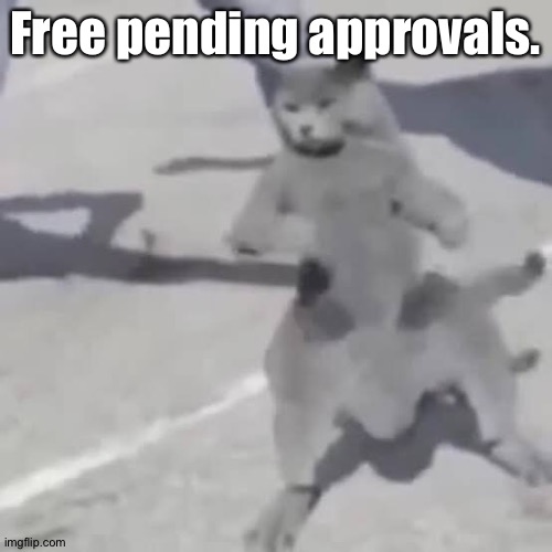 . | Free pending approvals. | image tagged in cat nae nae | made w/ Imgflip meme maker