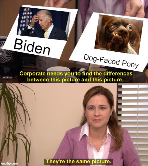They're The Same Picture | Biden; Dog-Faced Pony | image tagged in memes,they're the same picture | made w/ Imgflip meme maker