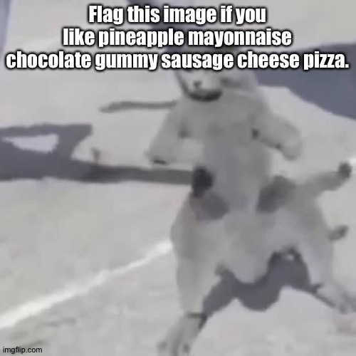 . | Flag this image if you like pineapple mayonnaise chocolate gummy sausage cheese pizza. | image tagged in cat nae nae | made w/ Imgflip meme maker