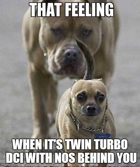 WHEN IT'S TWIN TURBO DCI WITH NOS BEHIND YOU | image tagged in that feeling,funny,dogs | made w/ Imgflip meme maker
