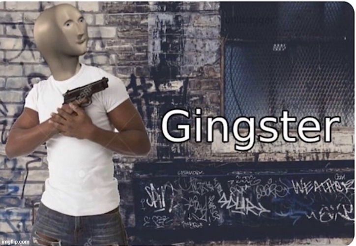 Ginster | image tagged in ginster | made w/ Imgflip meme maker