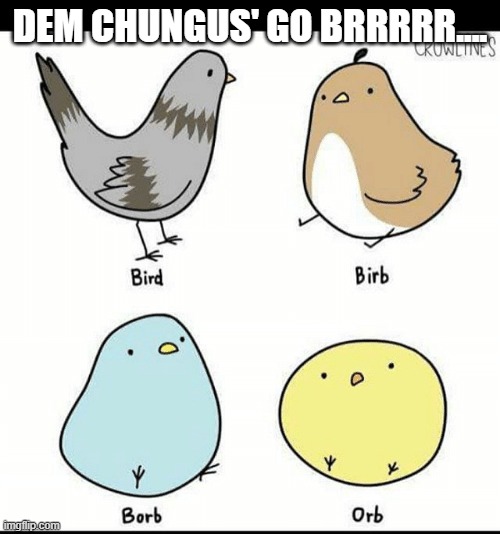 idk why im posting birb and blorb memes but like....why should I? lmao | DEM CHUNGUS' GO BRRRRR.... | image tagged in borb,thicc,big chungus,roflmao,i can't even,beauty | made w/ Imgflip meme maker