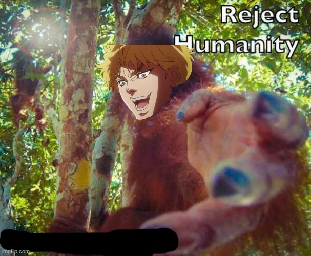 Reject humanity | image tagged in return to monke | made w/ Imgflip meme maker