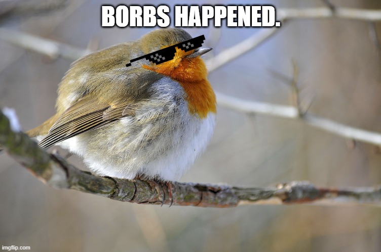 BORBS HAPPENED. | made w/ Imgflip meme maker