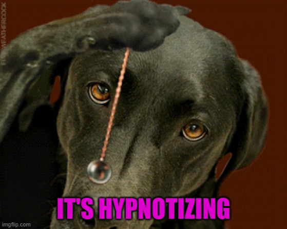 IT'S HYPNOTIZING | made w/ Imgflip meme maker