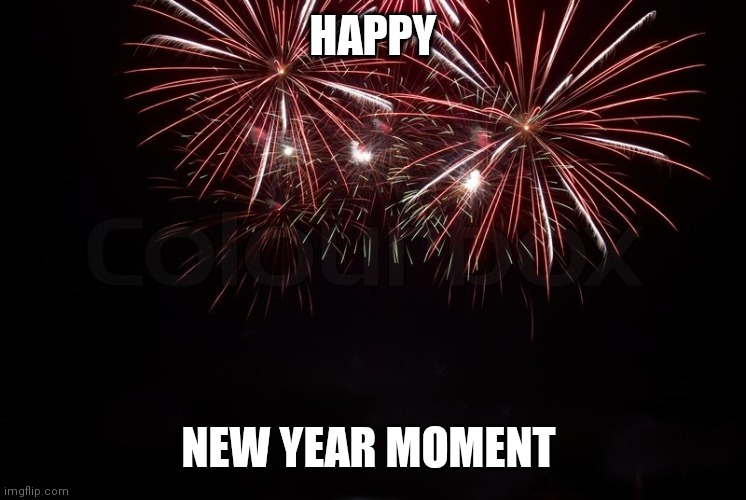 Happy New Year | HAPPY; NEW YEAR MOMENT | image tagged in happy new year | made w/ Imgflip meme maker