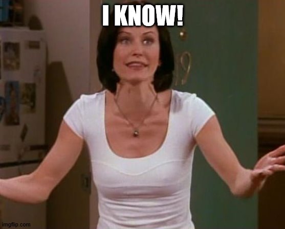 Monica Friends | I KNOW! | image tagged in monica friends | made w/ Imgflip meme maker