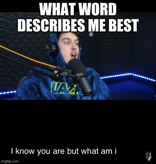 I know what you are but what am i | WHAT WORD DESCRIBES ME BEST | image tagged in i know what you are but what am i | made w/ Imgflip meme maker