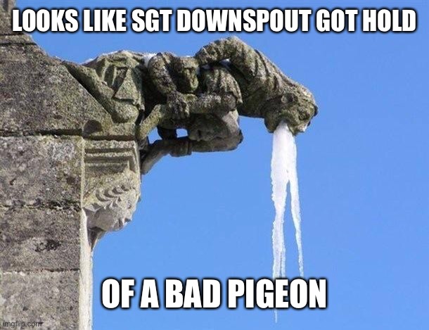 Sick Gargoyle | LOOKS LIKE SGT DOWNSPOUT GOT HOLD; OF A BAD PIGEON | image tagged in discworld,sgt downspout,ankh-morpork,gargoyle,vomit,bad pigeon | made w/ Imgflip meme maker
