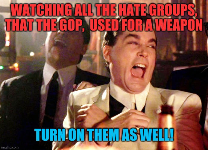 When you lie down with dogs... | WATCHING ALL THE HATE GROUPS, THAT THE GOP,  USED FOR A WEAPON; TURN ON THEM AS WELL! | image tagged in memes,good fellas hilarious,donald trump,election 2020,kkk,karma's a bitch | made w/ Imgflip meme maker