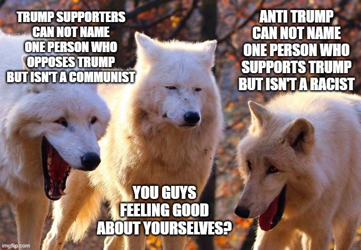 2/3 wolves laugh | TRUMP SUPPORTERS CAN NOT NAME ONE PERSON WHO OPPOSES TRUMP BUT ISN'T A COMMUNIST ANTI TRUMP CAN NOT NAME ONE PERSON WHO SUPPORTS TRUMP BUT I | image tagged in 2/3 wolves laugh | made w/ Imgflip meme maker