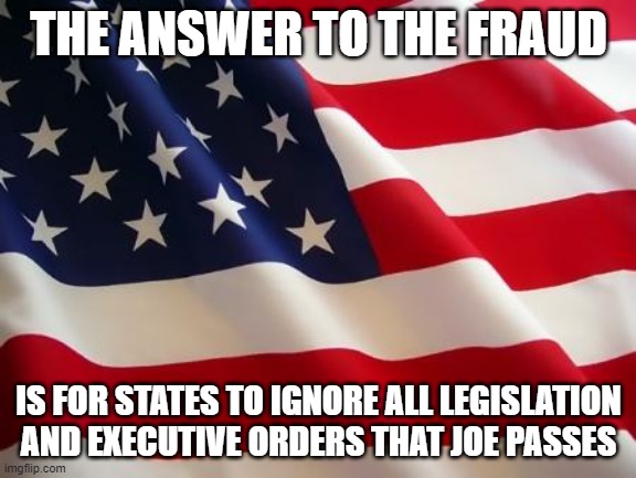 The answer to the 2020 election | THE ANSWER TO THE FRAUD; IS FOR STATES TO IGNORE ALL LEGISLATION AND EXECUTIVE ORDERS THAT JOE PASSES | image tagged in american flag,election 2020,joe biden | made w/ Imgflip meme maker
