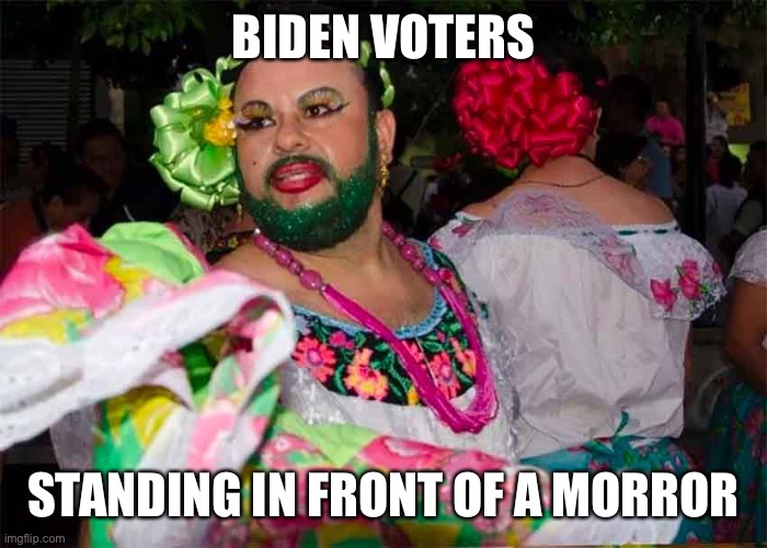 BIDEN VOTERS STANDING IN FRONT OF A MIRROR | made w/ Imgflip meme maker