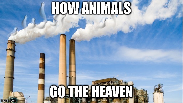 Pollution | HOW ANIMALS; GO THE HEAVEN | image tagged in pollution | made w/ Imgflip meme maker