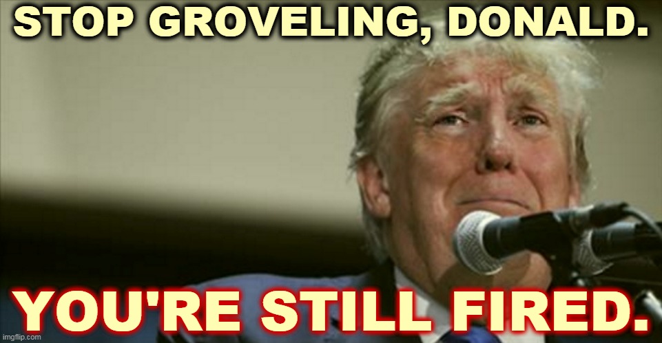Stop whining and making up silly sh*t and be a man! | STOP GROVELING, DONALD. YOU'RE STILL FIRED. | image tagged in trump tears at the microphone,trump,bad,loser | made w/ Imgflip meme maker