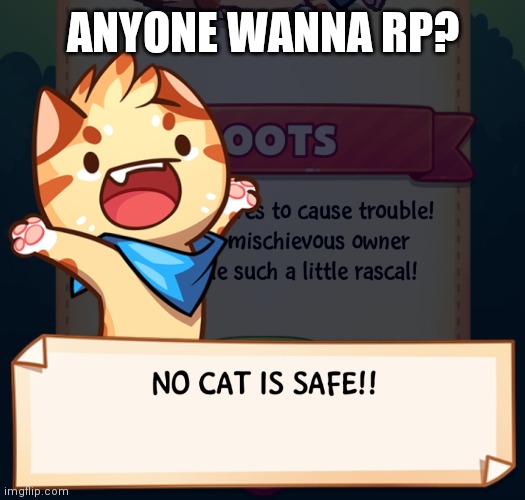 No cat is safe!!! | ANYONE WANNA RP? | image tagged in no cat is safe | made w/ Imgflip meme maker
