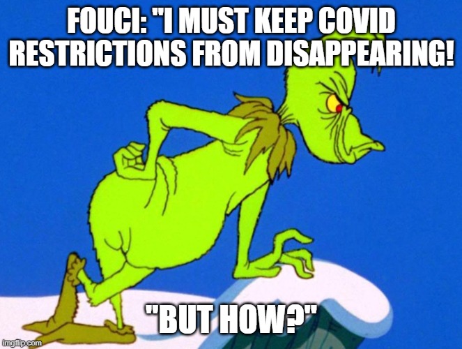 The Grinch | FOUCI: "I MUST KEEP COVID RESTRICTIONS FROM DISAPPEARING! "BUT HOW?" | image tagged in the grinch | made w/ Imgflip meme maker