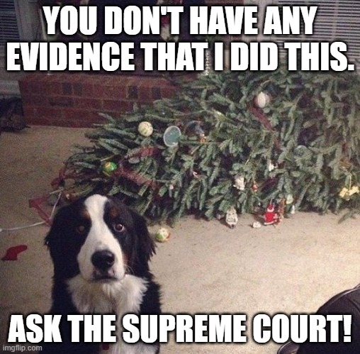 Dog Christmas Tree | YOU DON'T HAVE ANY EVIDENCE THAT I DID THIS. ASK THE SUPREME COURT! | image tagged in dog christmas tree | made w/ Imgflip meme maker