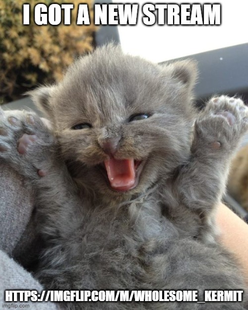 it doesn't have to be Kermit it can be any wholesome memes | I GOT A NEW STREAM; HTTPS://IMGFLIP.COM/M/WHOLESOME_KERMIT | made w/ Imgflip meme maker