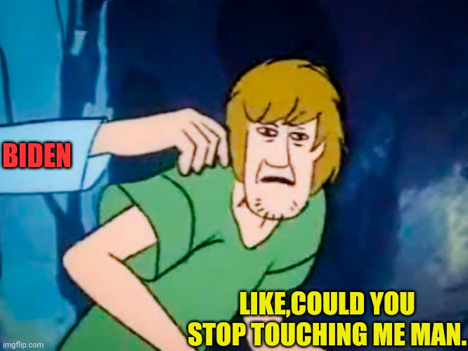 Shaggy meme | LIKE,COULD YOU STOP TOUCHING ME MAN. BIDEN | image tagged in shaggy meme | made w/ Imgflip meme maker