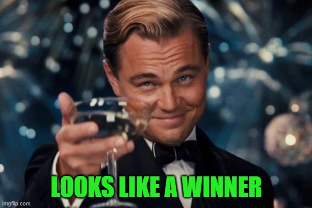 Leonardo Dicaprio Cheers Meme | LOOKS LIKE A WINNER | image tagged in memes,leonardo dicaprio cheers | made w/ Imgflip meme maker