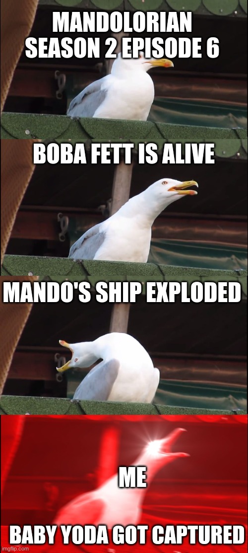 Who else is upset about this? | MANDOLORIAN SEASON 2 EPISODE 6; BOBA FETT IS ALIVE; MANDO'S SHIP EXPLODED; ME; BABY YODA GOT CAPTURED | image tagged in memes,inhaling seagull | made w/ Imgflip meme maker