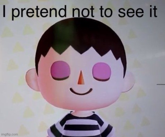I pretend not to see it | image tagged in i pretend not to see it | made w/ Imgflip meme maker