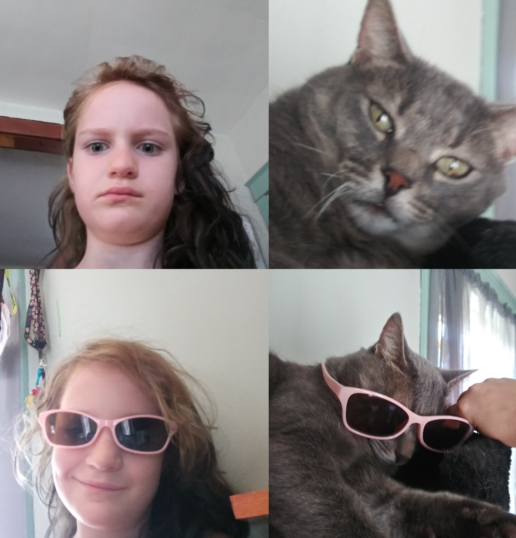 Cool cats Blank Meme Template