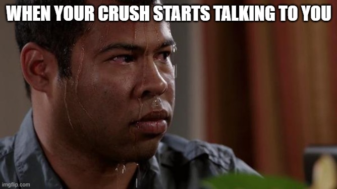 sweating bullets | WHEN YOUR CRUSH STARTS TALKING TO YOU | image tagged in sweating bullets | made w/ Imgflip meme maker